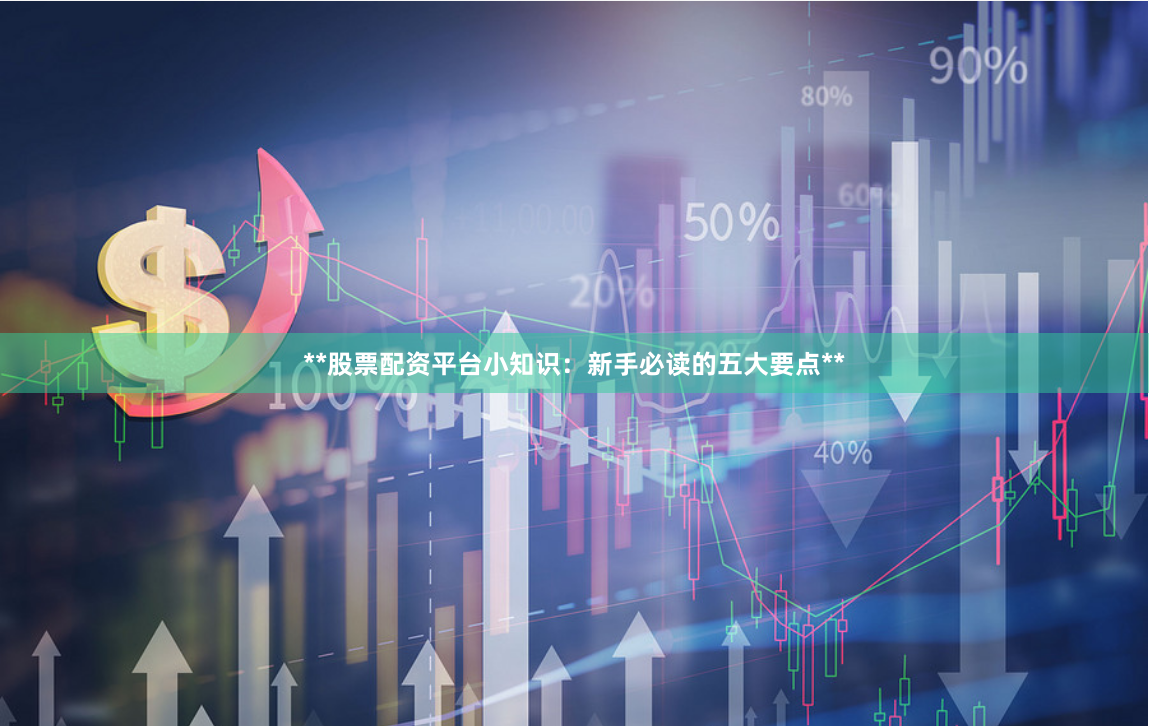 **股票配资平台小知识：新手必读的五大要点**