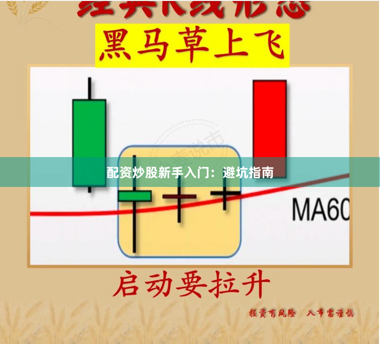 配资炒股新手入门：避坑指南
